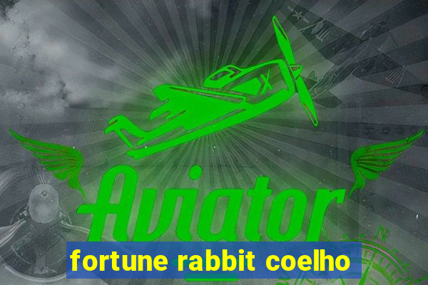 fortune rabbit coelho